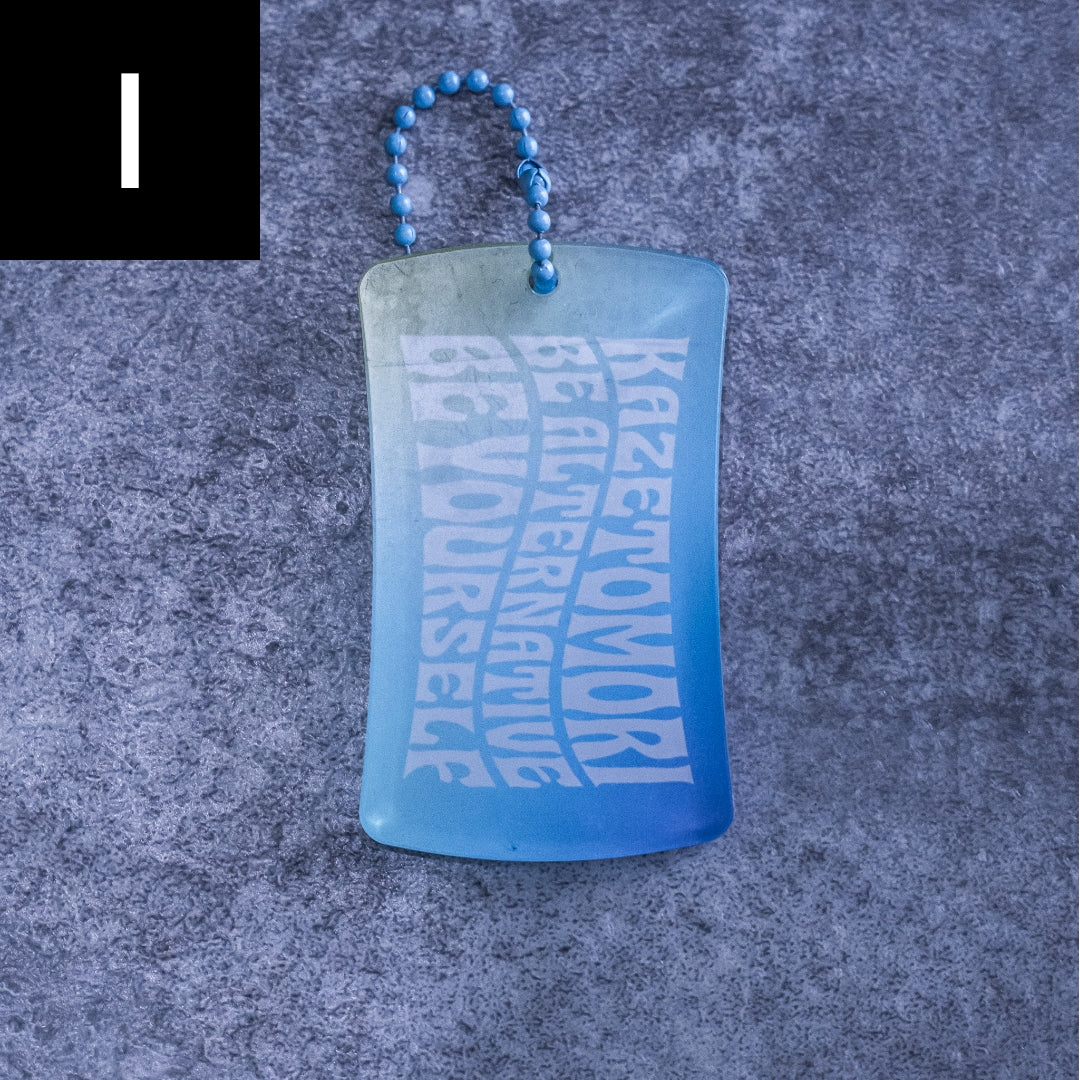 CARABINER & KEYHOLDER